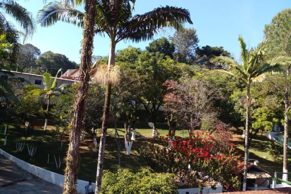 Unidade 2 Masculina 1