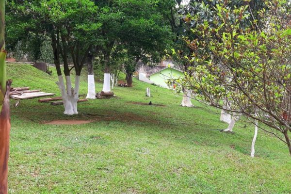 Unidade 2 Masculina 7